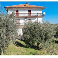 Casa singola con terreno e uliveto