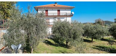 Casa singola con terreno e uliveto