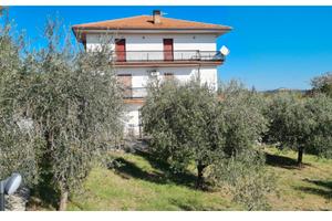 Casa singola con terreno e uliveto