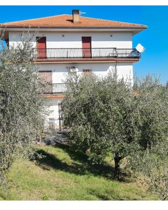 Casa singola con terreno e uliveto
