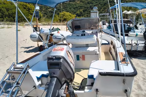 Barca Open Astra 19