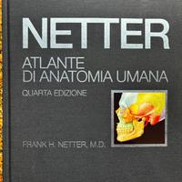 Netter anatomia umana 