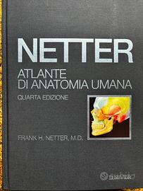 Netter anatomia umana 