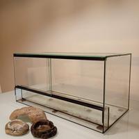 teca terrario vivarium
