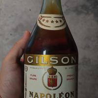Gilson Napoléon