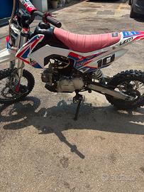 LEM PITBIKE 110