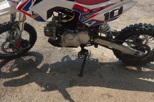 LEM PITBIKE 110