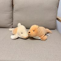 Peluche foca delfino