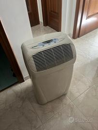 condizionatore portatile pinguino