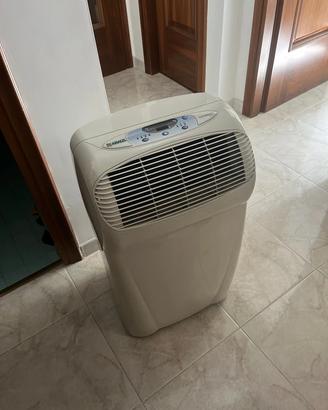 condizionatore portatile pinguino
