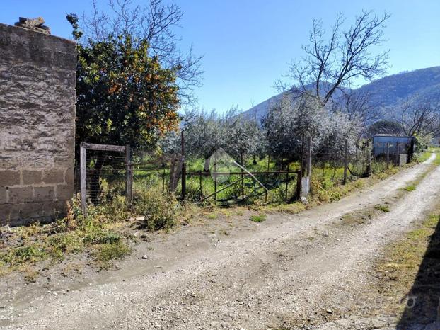 TER. AGRICOLO A SAN FELICE A CANCELLO