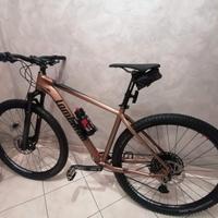 Mountain bike 