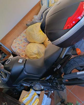 Suzuki V Strom DL 650  UNICO PROPRIETARIO
