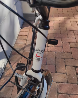 Bicicletta da donna 