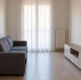 Bilocale ben disposto libero