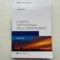 Il diritto costituzionale nella giurisprudenza