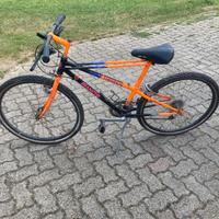 Mountain bike
