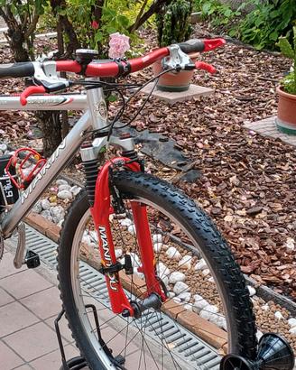 MTB  S