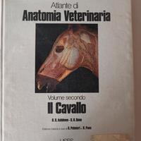 Atlante di anatomia veterinaria Il cavallo 