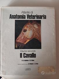 Atlante di anatomia veterinaria Il cavallo 