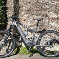 Riese&Muller Delite Mountain Rolhoff