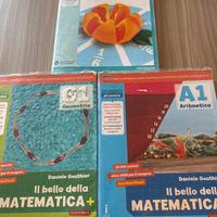 Il bello della matematica 1 scuola media