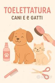 Attività Toelettatura Vendita