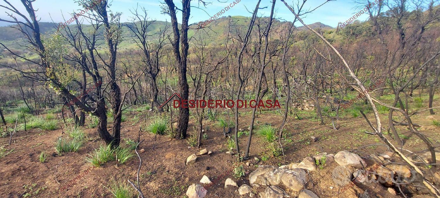 Terreno, Gratteri. - Vista 6