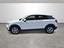 Immagine 8