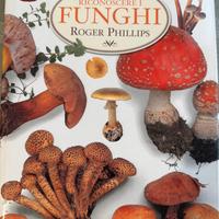 Riconoscere i Funghi