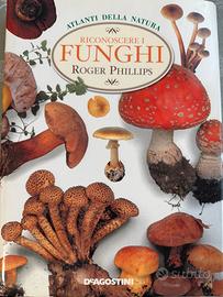 Riconoscere i Funghi