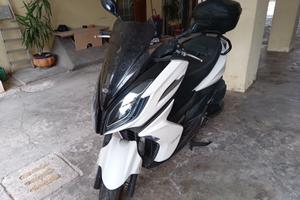 Scooter Kimco 300