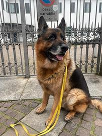 Custode