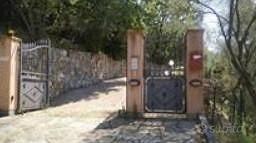 Appartamento – Diano San Pietro, Moltedo, Campo Rotondo - Vista 2