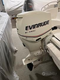 Motore EVINRUDE E-TEC 90