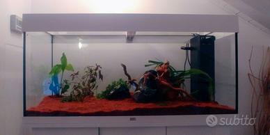 Acquario Juwel Rio 180 con supporto COMPLETO