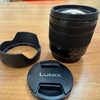 Panasonic Lumix G Vario 12-60mm f/3.5-5.6 OIS
