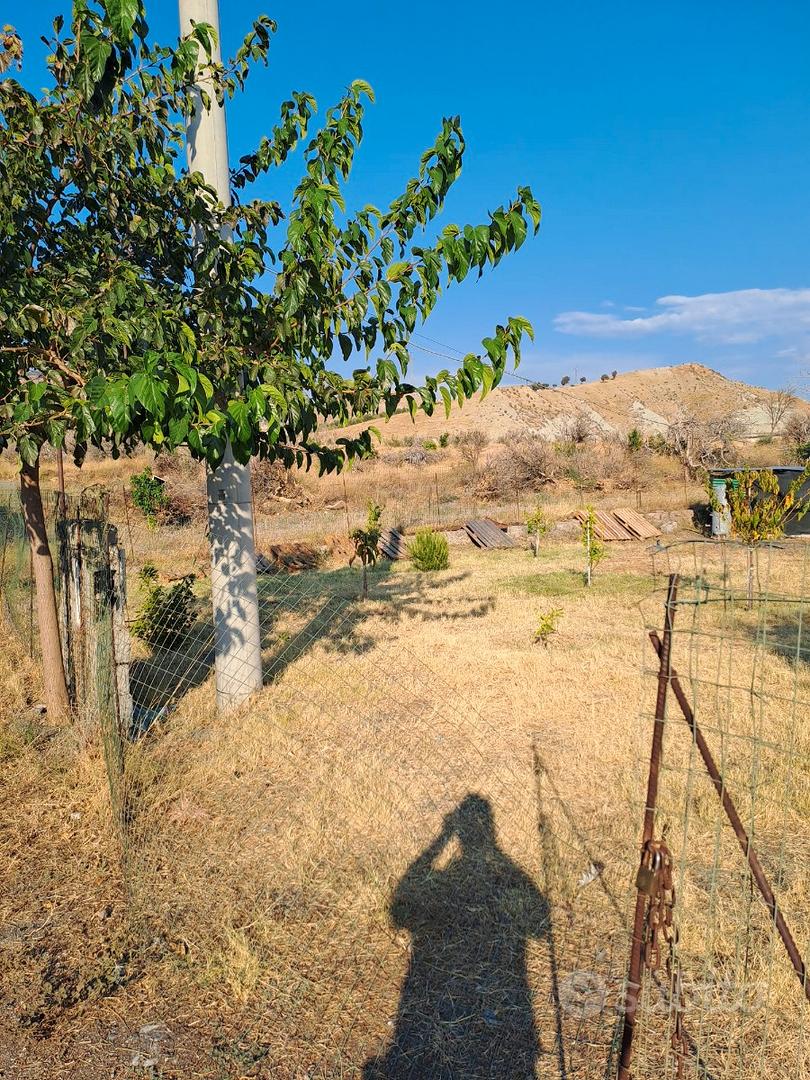 Lotto di terreno non edificabile - Vista 6