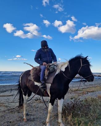 Tre cavalli & un pony