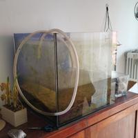 Vasca e accessori acquario marino