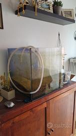 Vasca e accessori acquario marino