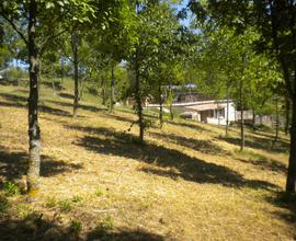 Terreno agricolo con annesso