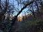 Immagine 29
