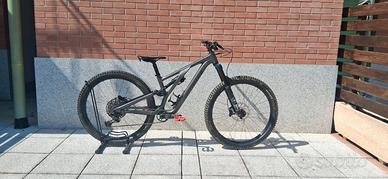 Specialized stampjumper evo