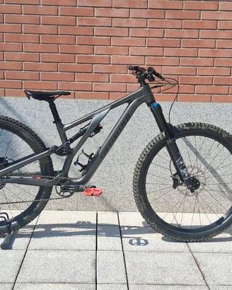 Specialized stampjumper evo