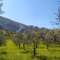 Vendita villa Bagnoli Irpino