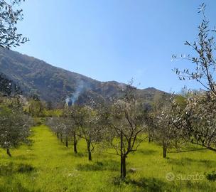 Vendita villa Bagnoli Irpino