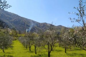 Vendita villa Bagnoli Irpino