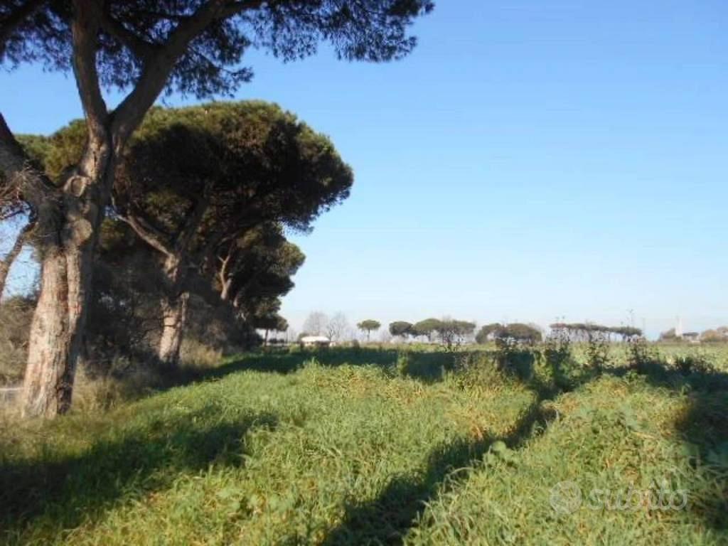 Immobile in asta di 82648 m² a Latina - Vista 4