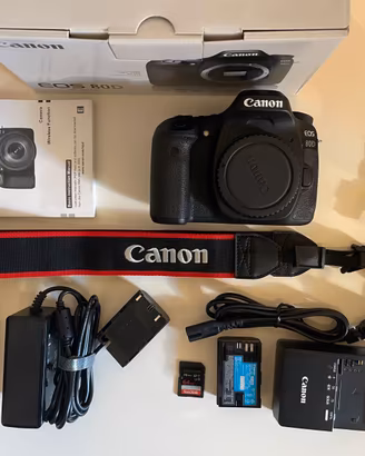 Canon EOS 80D -  8.027 scatti - Anno 2019